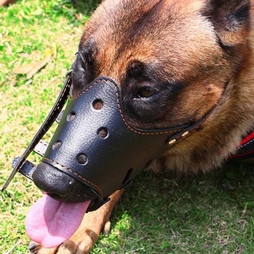 Breathable Dog Biting Muzzle Mouth Guard - detail