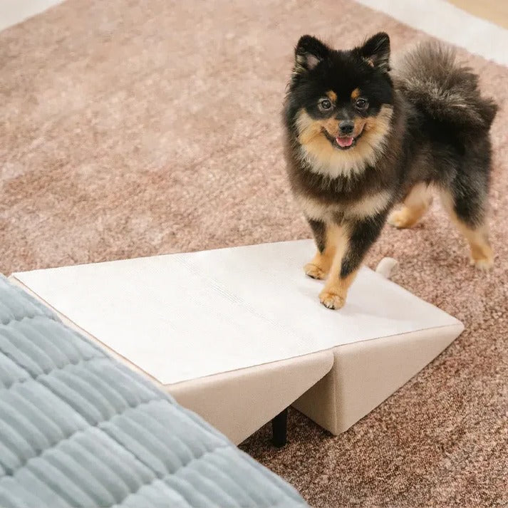 Convertible Pet Ramp and Folding Step Stool