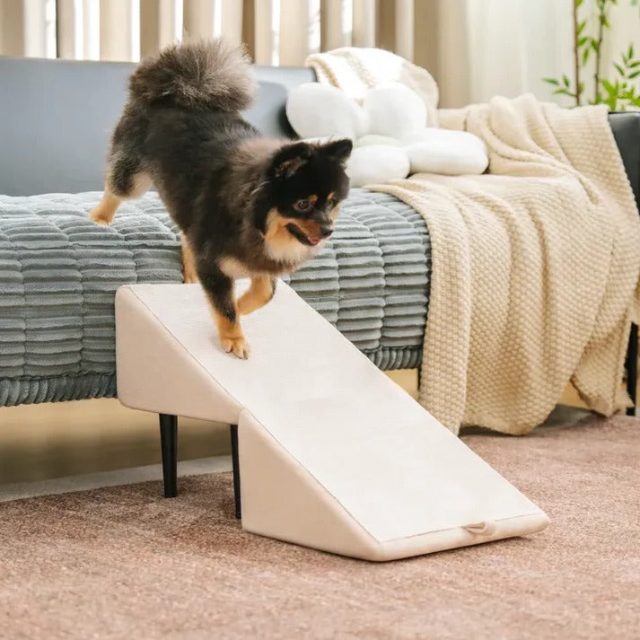 Convertible Pet Ramp and Folding Step Stool - detail