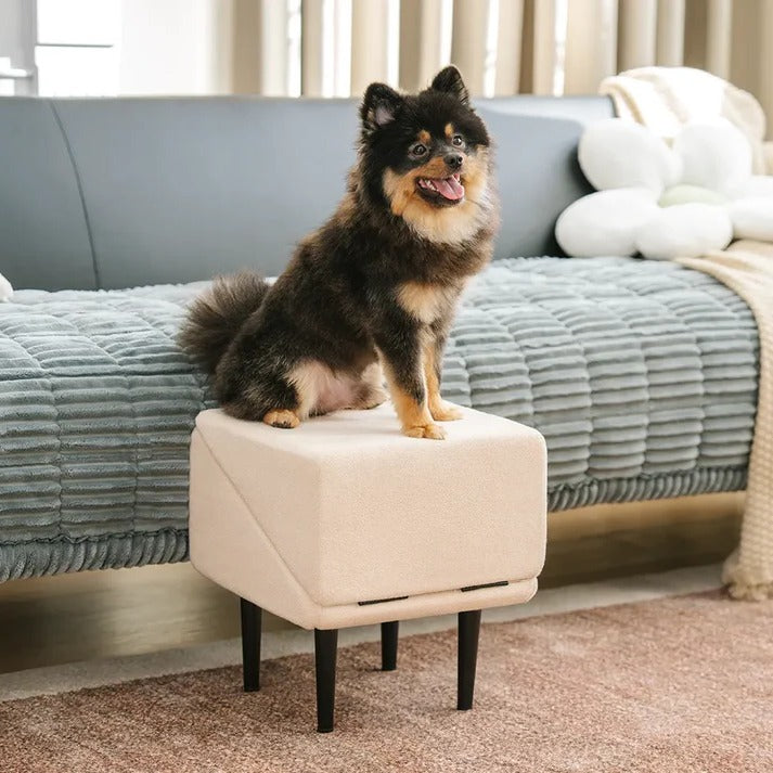 Convertible Pet Ramp and Folding Step Stool