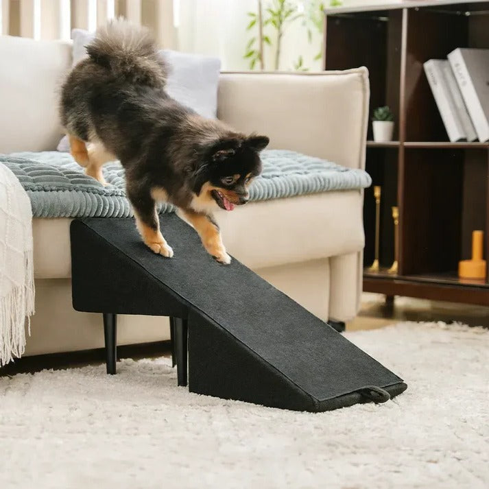 Convertible Pet Ramp and Folding Step Stool - alternate angle