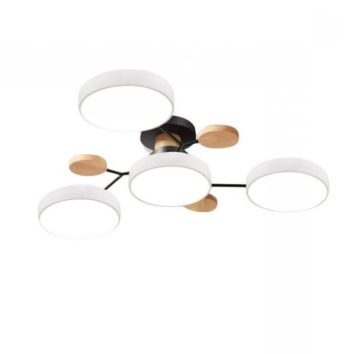 Ceiling Light - Branching Design, Stylish & Sustainable with LED Technology - in use
