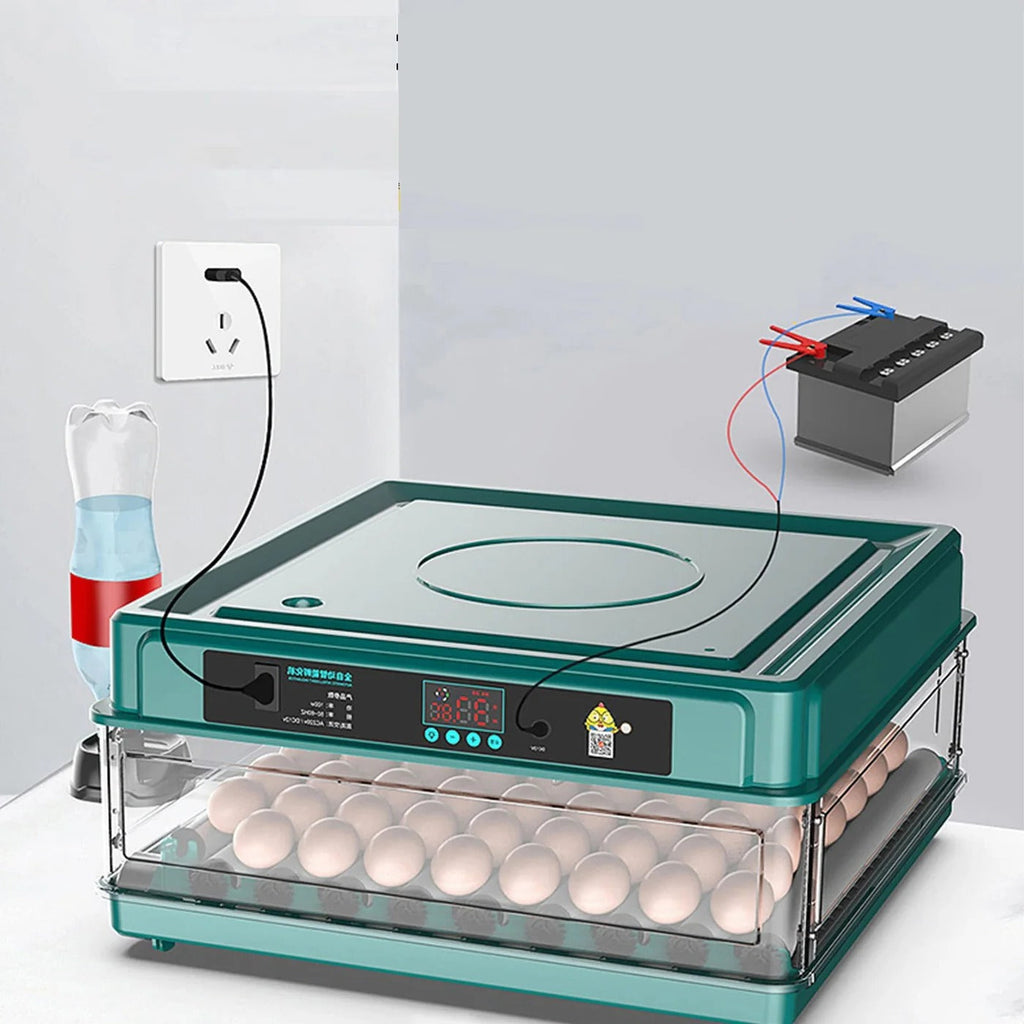 Digital Egg Incubator with Adjustable Tray - detail