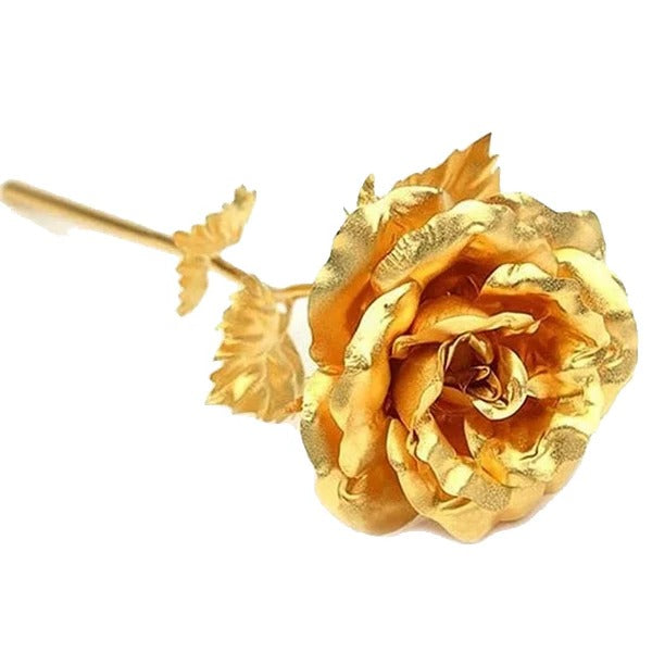 24K Gold Dipped Real Rose with Gift Box - in use