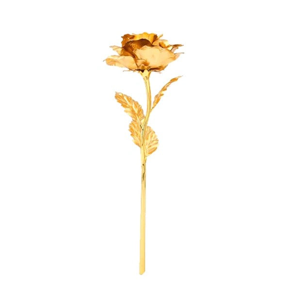24K Gold Dipped Real Rose with Gift Box - detail
