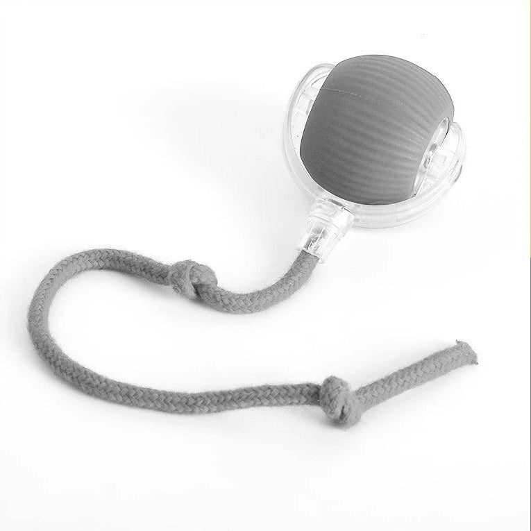 Active Rolling Ball with Tail for Dogs - detail