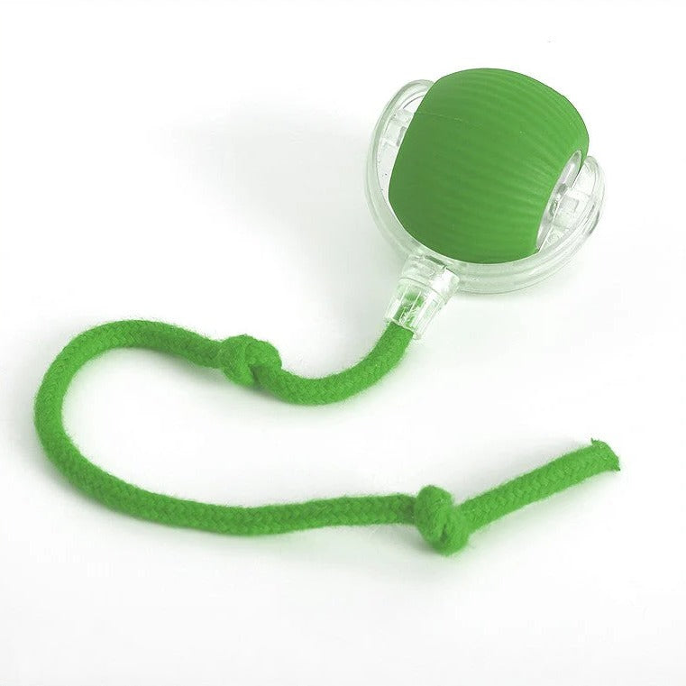 Active Rolling Ball with Tail for Dogs - alternate angle