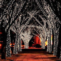 Puchica 55ft Solar Fairy Lights (100 LED, Waterproof)