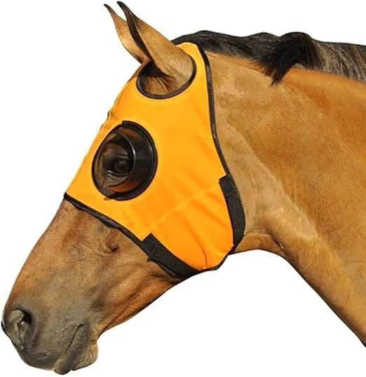 Blinders For Horse - in use