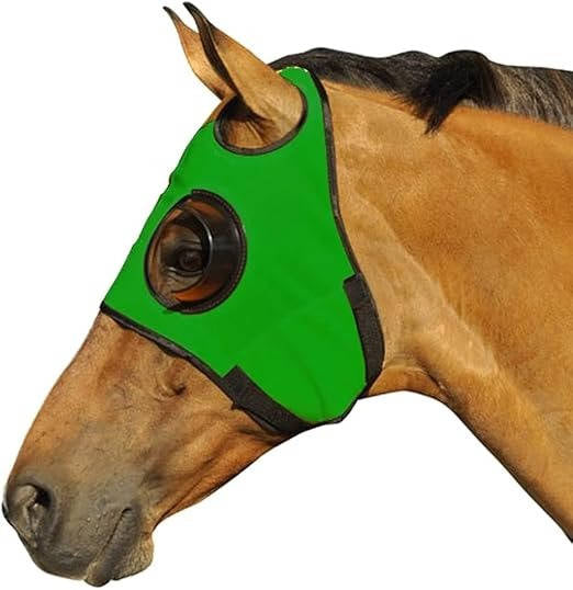 Blinders For Horse - alternate angle