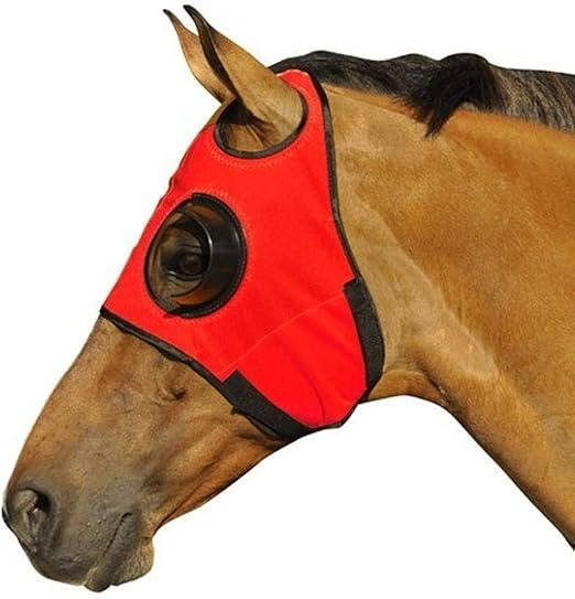 Blinders For Horse - alternate angle