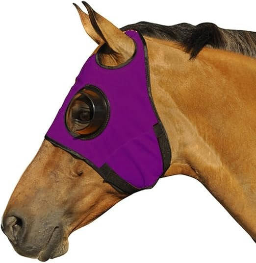 Blinders For Horse - detail