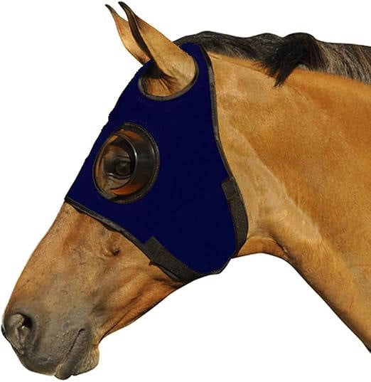 Blinders For Horse - detail