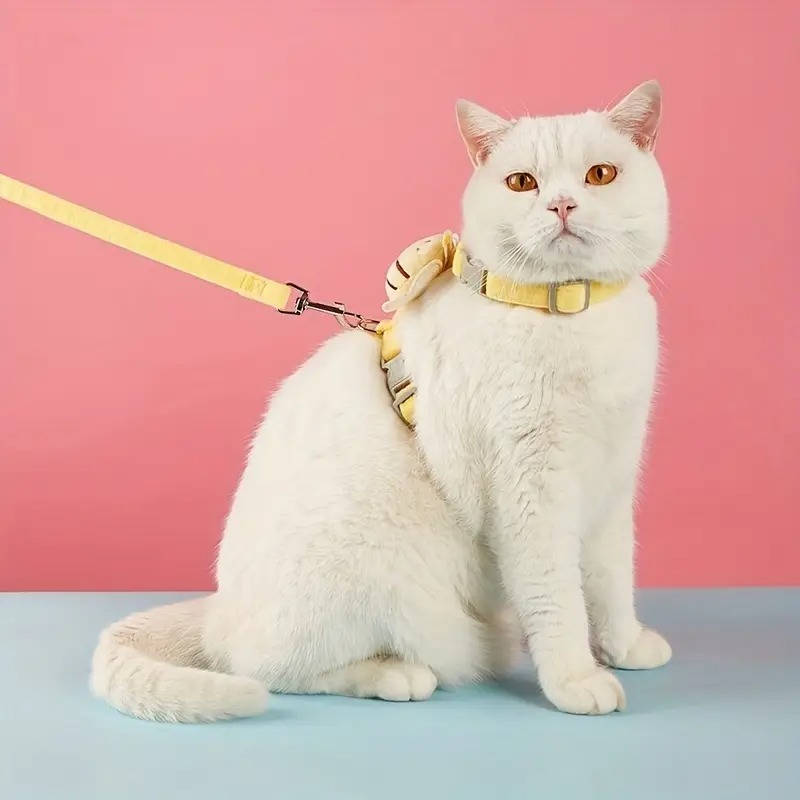 Cat Collar And Harness - detail