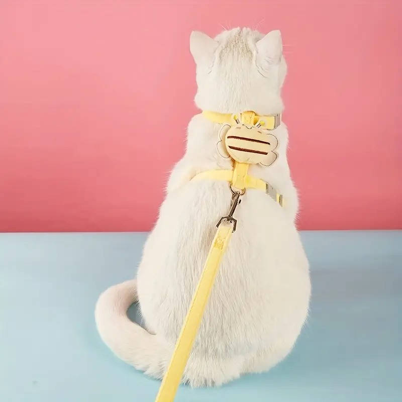 Cat Collar And Harness - in use