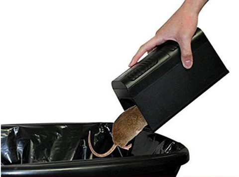 Electric Mouse Trap - detail