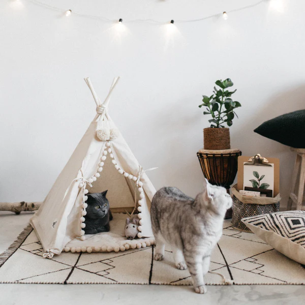 Bohemian Pet TeePee - alternate angle