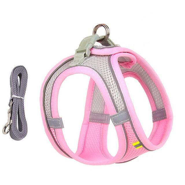 Adjustable Harness and Leash Set for Small Dogs and Cats - in use