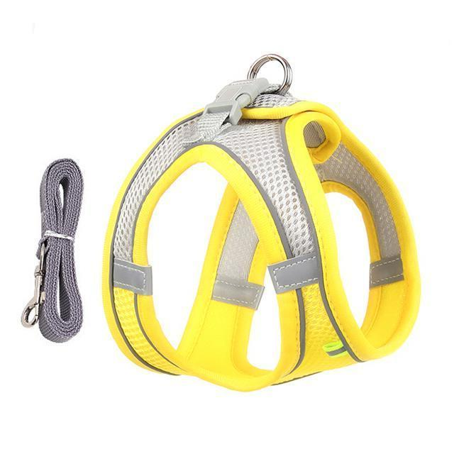Adjustable Harness and Leash Set for Small Dogs and Cats - detail