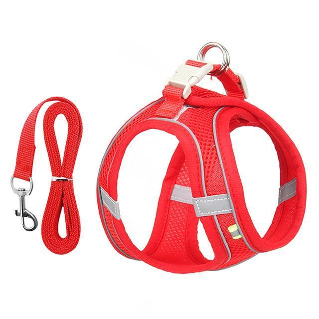 Adjustable Harness and Leash Set for Small Dogs and Cats - alternate angle