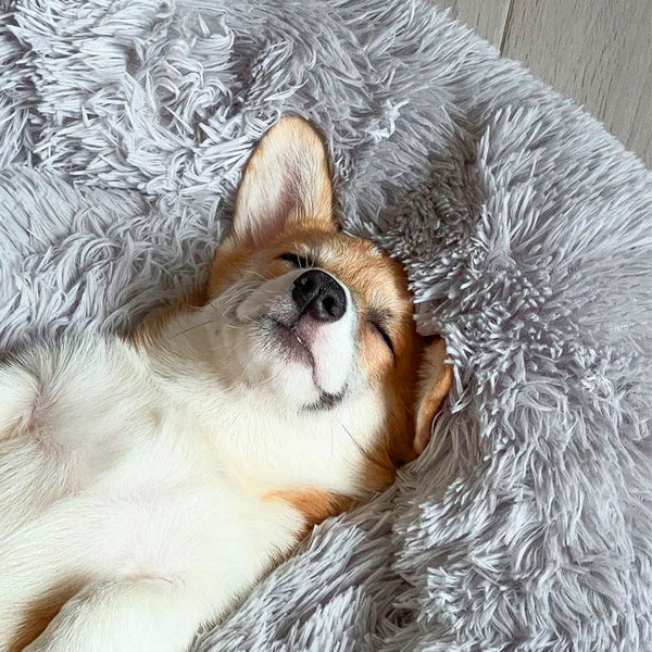 Calming Dog Bed - alternate angle