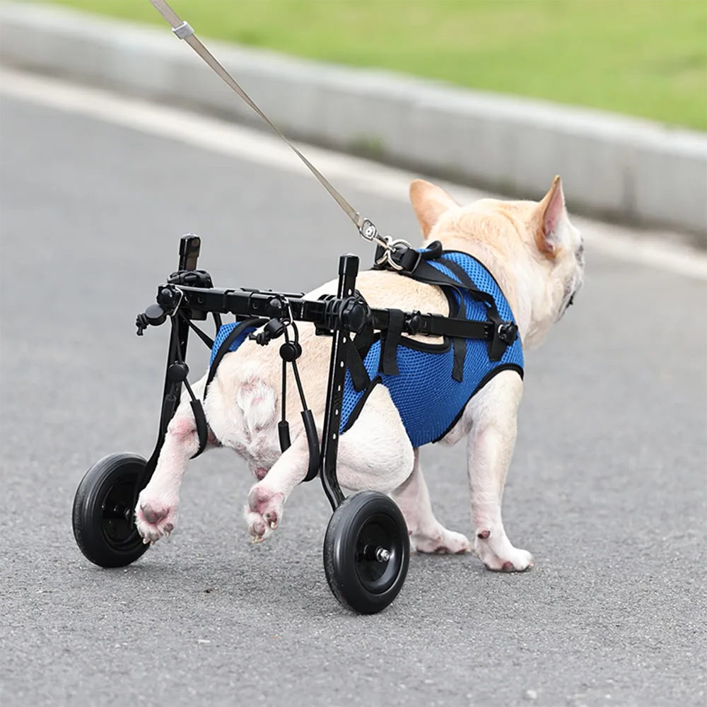 Dog Wheelchair Disability Dog Hind Legs Bracket Cat Dog Injured And - detail