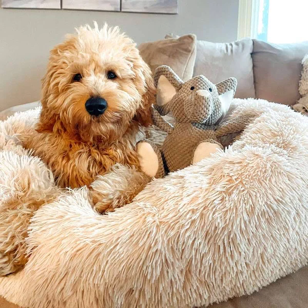 Calming Dog Bed - detail
