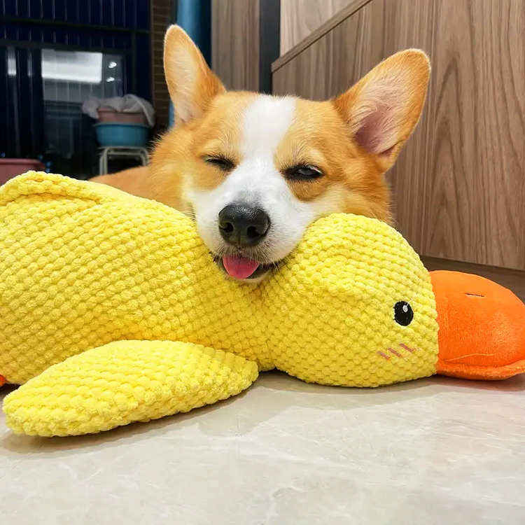 Calming Durable Duck - in use