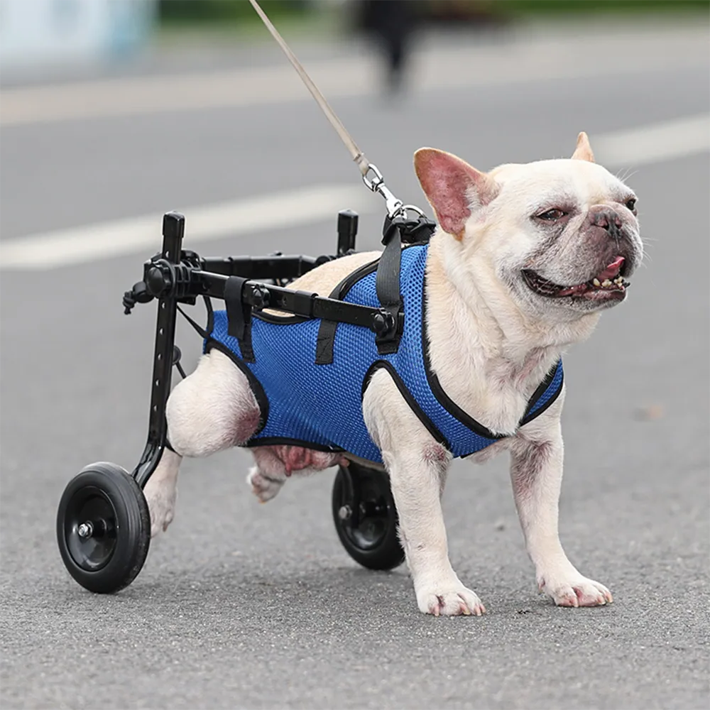 Dog Wheelchair Disability Dog Hind Legs Bracket Cat Dog Injured And
