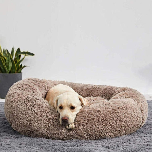 Calming Dog Bed - in use