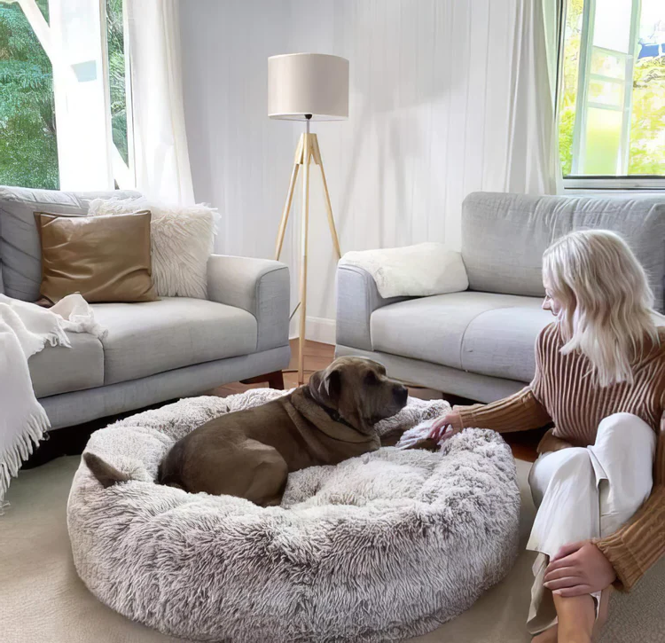Calming Dog Bed - detail