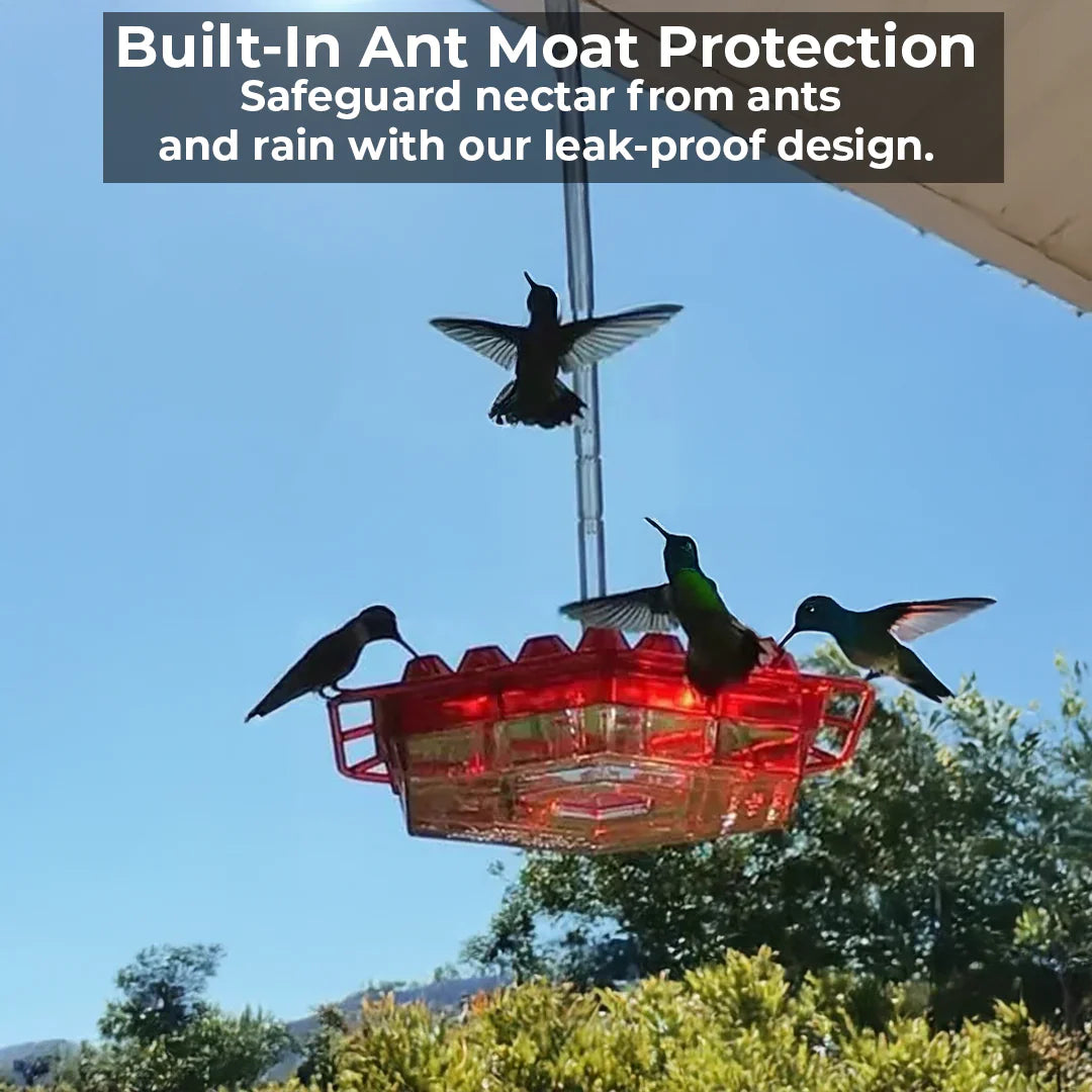 Ant-Proof Hummingbird Feeder with 30 Bee-Resistant Ports - detail