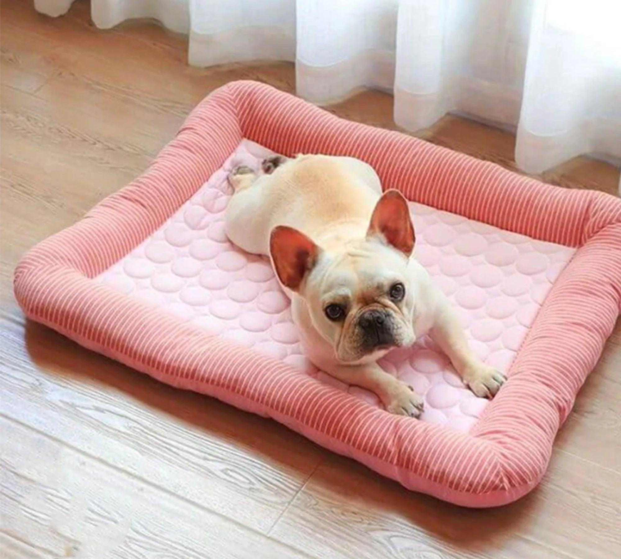 Cooling Dog Bed with Ice Silk Material - alternate angle