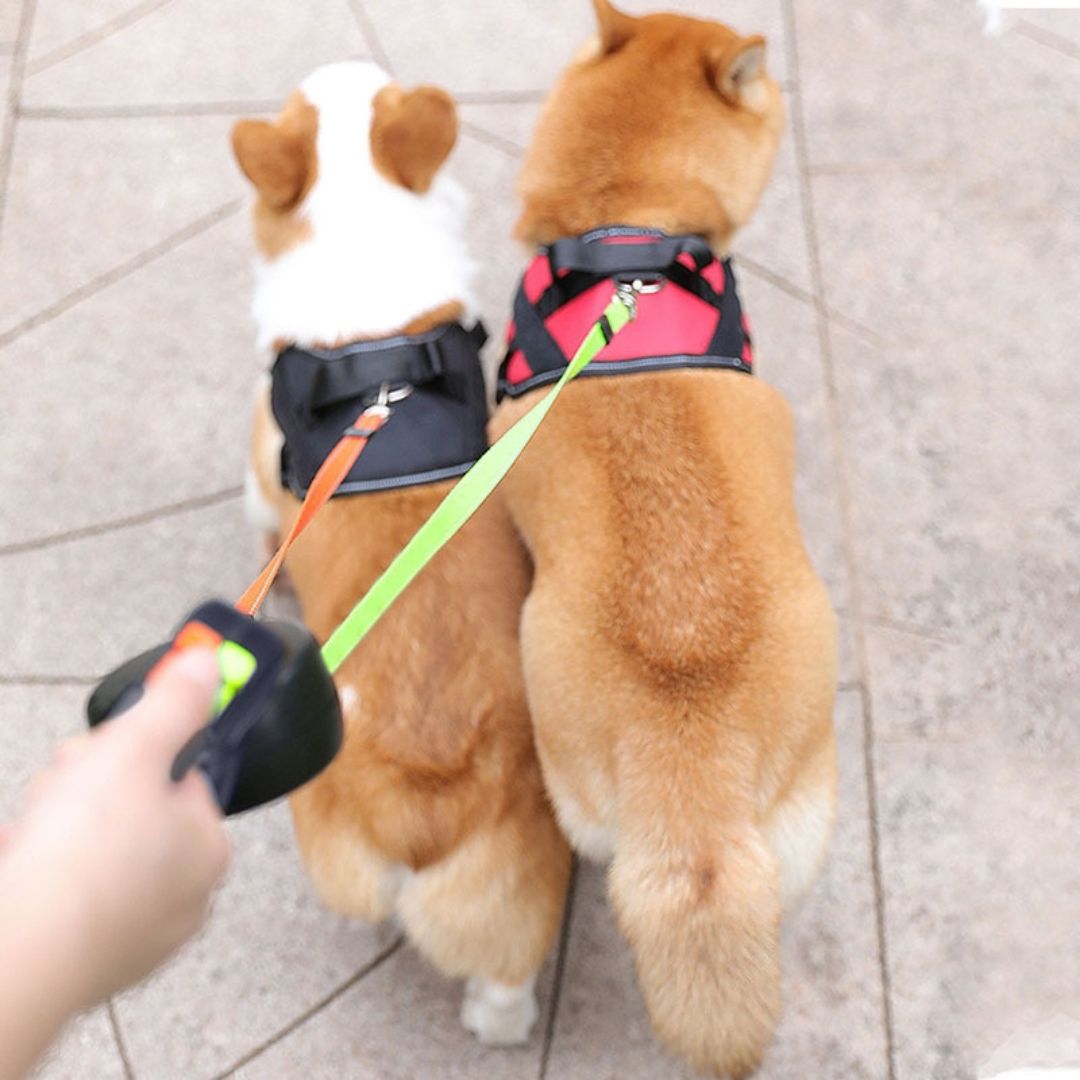 Anti-Tangle Double Dog Leash - detail