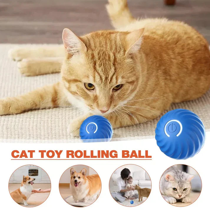 Active Rolling Ball Anti-Anxiety Automatic Moving Ball - alternate angle