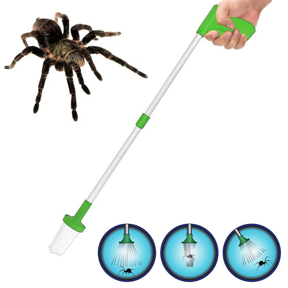 Bug Catcher
