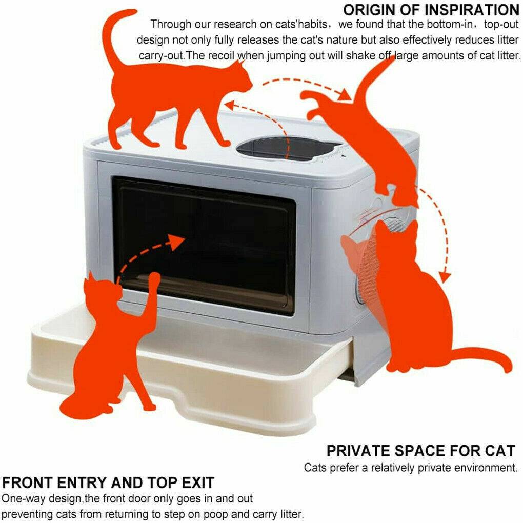 Cat Litter Box - detail